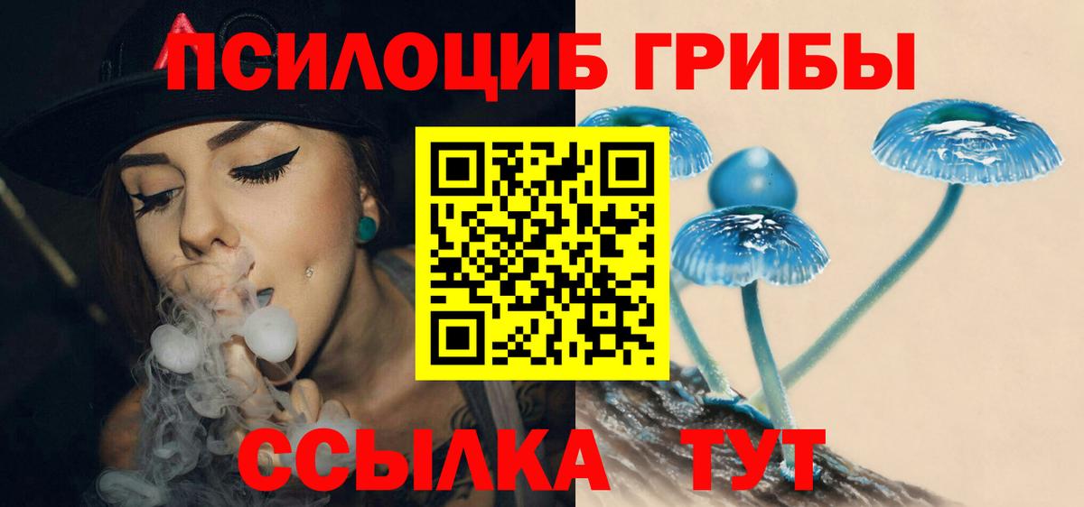 Киржач  Галлюциногенные грибы мицелий  Вход с VPN 